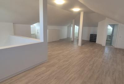 Vila individuala Iancu Nicolae - British School - 29