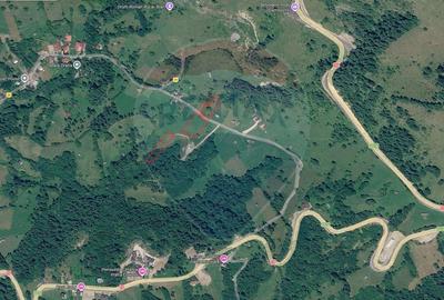Teren2058mp Dambovicioara la poalele parcului National Piatra Craiului - 12