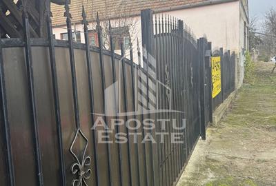 Comision 0 la cumpărător ,casa în Petrovaselo cu 2518 mp teren - 5