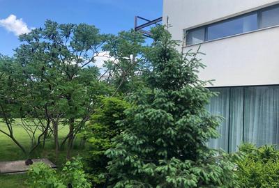 Beautiful villa - Baneasa area - 6rooms - 18