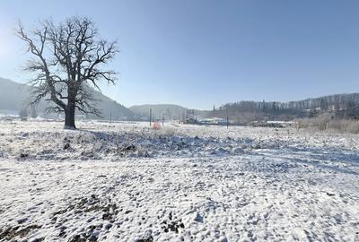 Teren intravilan - 25