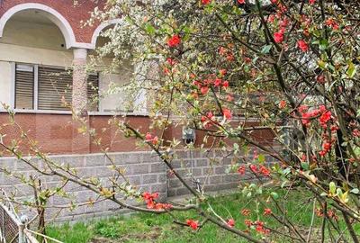 Casa renovabila, teren 4400 mp, Tureni - 1