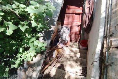 Casa de locuit (Ditrau, str. Livezii) - 13