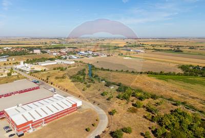 Teren 20.000 mp Arad. Ideal pentru mica industrie, servicii, transport - 9