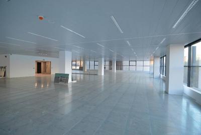 ONE Herastrau Office, Caramfil, 280 - 780 mp  0% comision! - 11