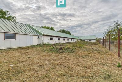 Hală pentru producție / fermă zootehnică  - Variaș - 18