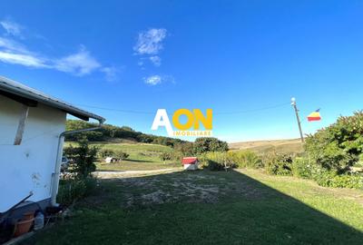 Ferma de vanzare cu 550MP utili si 27.500MP teren la asfalt - 23