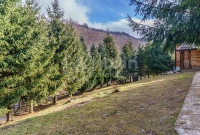 Comision 0% Casa de vacanta in Muntele Rece | Priveliste Panoramica - 20