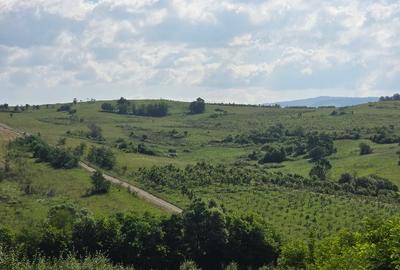 Casa de vanzare la sosea in Girbovat, langa Bozovici, 5 camere - 12