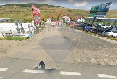 Teren industrial de vanzare – Valcele, 10.000 mp - 5
