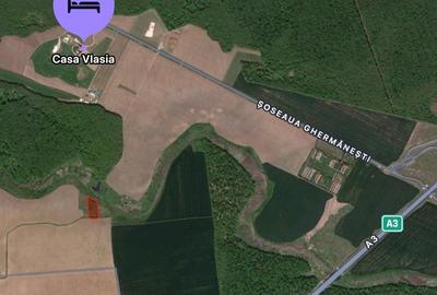 Teren extravilan de vanzare | Snagov - 1