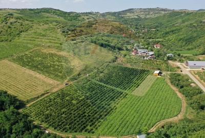 Oportunitate de investitie - Teren de vanzare I 4 ha I certificat ECO - 2