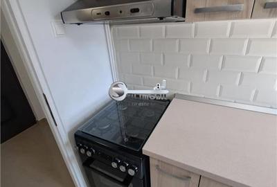 Apartament 2 Camere Podul de Piatra - 445 euro - 10