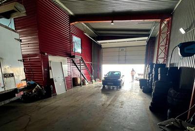Hala Industriala, zona Ina Schaeffler , 530 mp utili - 5