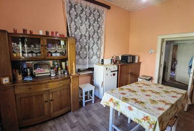 Casa vacanta,investitie  in Gurahont cu teren generos - 8