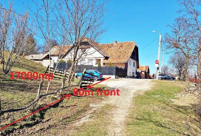 Comision 0%! Teren superb de 17000mp la 5 min de Castelul Bran, 13 euro/mp - 6