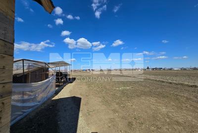 Casă la roșu la 165000 euro I Pe teren de 32 de ari I Măneuți - 19