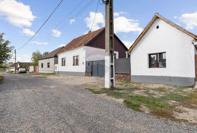 Casă individuală cu 3 camere în Ultracentral