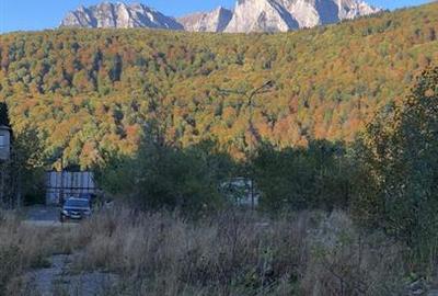De vanzare teren intravilan AZUGA - 14