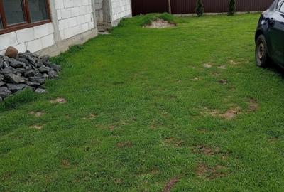 Casa+teren  Vadu Pașii Buzau - 16