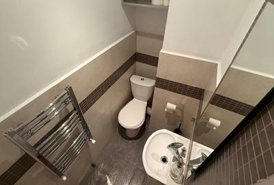 Dorobanti Intrarea Tudor Ștefan Apartament duplex 4 camere Rooftop - 4