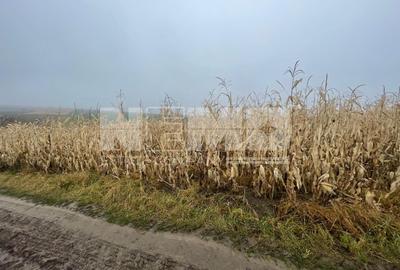 TEREN EXTRAVILAN | DOUA PARCELE 2.84 HA| DARMANESTI - 5