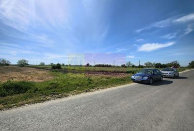Teren pentru investiție Ilfov, în apropiere de București - 5