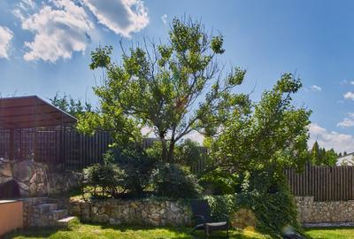 Reprezentare exclusivă · Casa dintre magnolii, Făget · 1.343 mp lângă pădure - 30