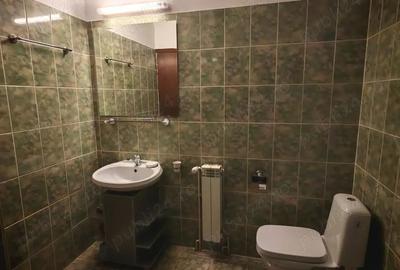 Apartament, cu 2 camere, PET FRIENDLY, zona Tatarasi - 6