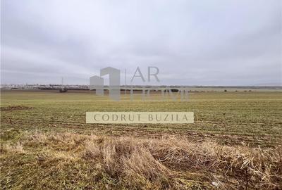 Teren intravilan 4792 mp,  Bucov - 2