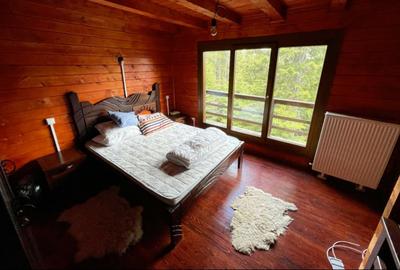 Vanzare vila noua mare (sau pensiune) la munte langa partia schi statiunea Ranca - 1