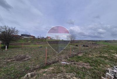 Teren 861mp Pielesti, intravilan, imprejmuit, toate utilitatile - 2