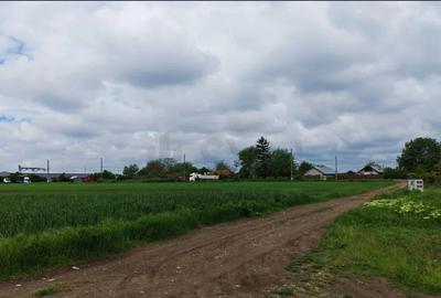 Teren intravilan 10.000 mp | PUZ aprobat 17 loturi | Gagu – Dascălu | 8km DNCB - 5