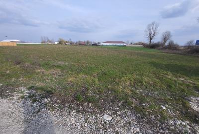 Teren intravilan situat într-o zonă superbă , vis-a-vis de Parcul Natural Comana - 5