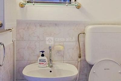 Copou, spatiu comercial ideal pentru afacerea ta, parcare inclusa - 4