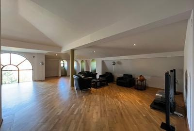 VILA DEOSEBITA / SPATII GENEROASE / CURTE PROPRIE - 46