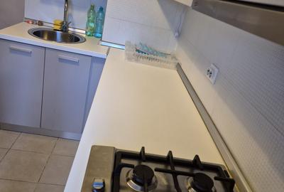 Apartament 3 camere – Piata Natiunilor Unite - 4