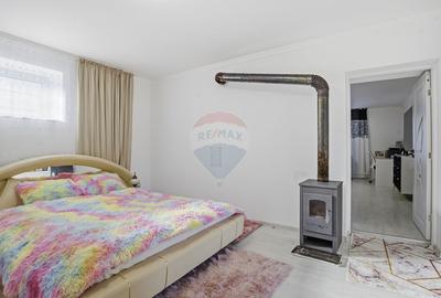Casă renovată cu teren generos în Satu Mare,Secusigiu - 10
