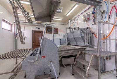 Spațiu industrial, de 2,116.5 mp, în Curtuiușu Dejului