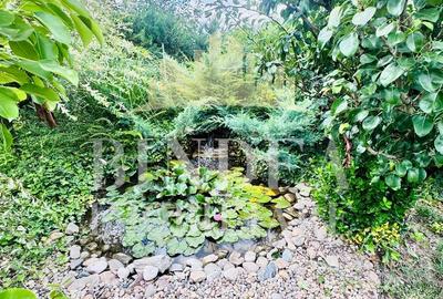 Proprietate individuala premium la intrare in Pischia - 18