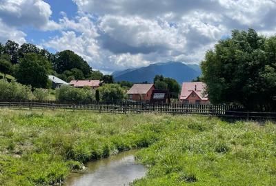 INVESTIȚIE | Teren 5000 mp PUZ APROBAT intravilan - zona Sohodol -Bran - 6
