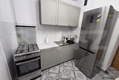 Apartament 1 camera, 42 mp, pet-friendly, zona Mehedinti - 4