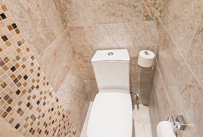 Apartament 3 camere Herastrau - 10
