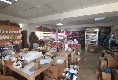 Showroom în Sudul Bucureștiului - 59