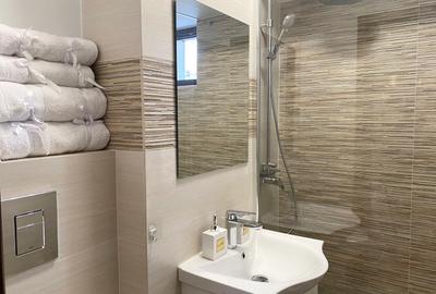 Apartament de vanzare Piata Victoriei Titulescu, parc Kiseleff si metrou la 450m - 10