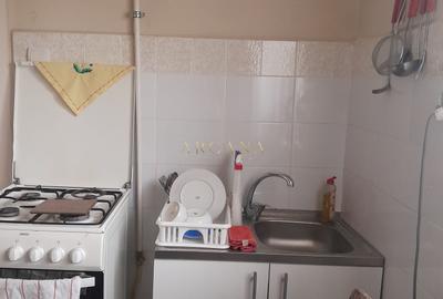 Casă de vânzare în Jibou aproape de Energobit - 10