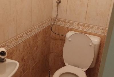 Casa 3 camere la Elek, langa Gyula, Ungaria - 14