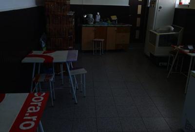 Imobil Mosoaia - Hintesti, 14 camere, teren 1.382mp - 23