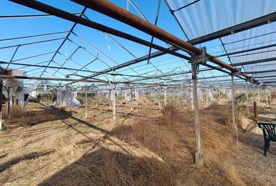 SERĂ INDUSTRIALĂ CU TEREN INTRAVILAN  – OPORTUNITATE RARĂ in Olari - 13