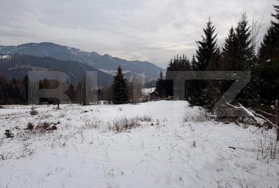 Teren Construcții intravilan de 10746 mp, în Exterior Vest